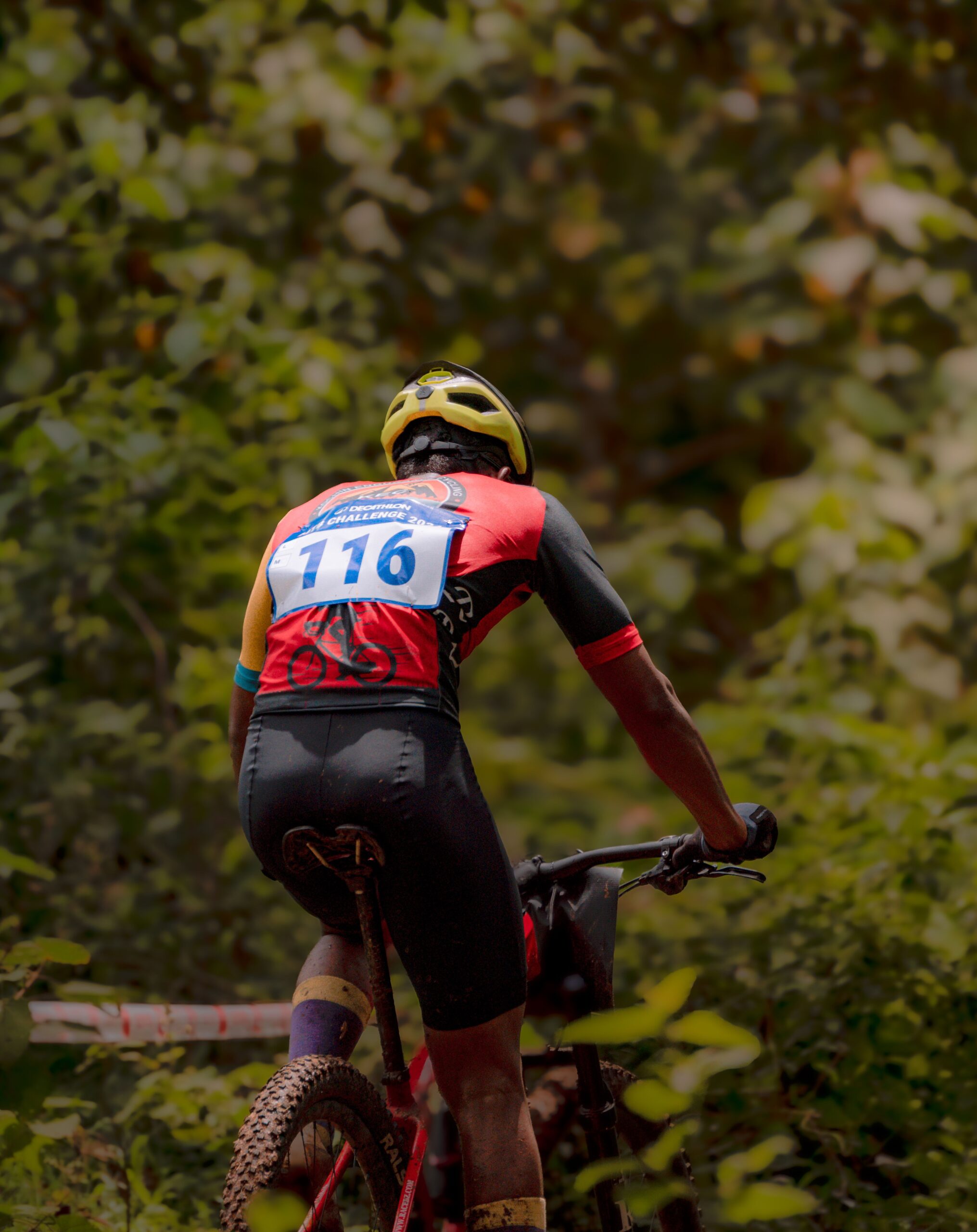 Mountainbiker von hinten auf einem Waldtrail